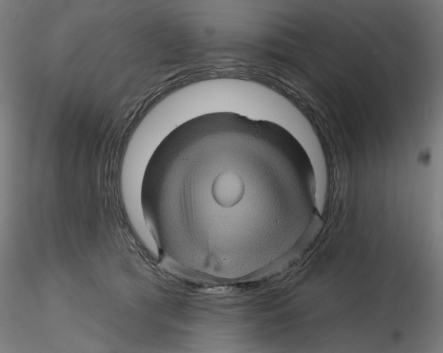 X0000116490417201001061145