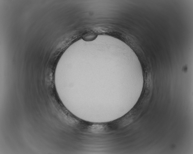 X0000116490418201001061145