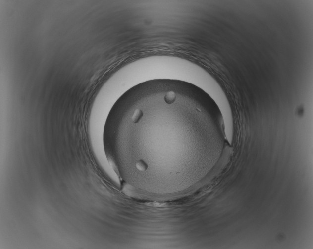 X0000116490419201001061145