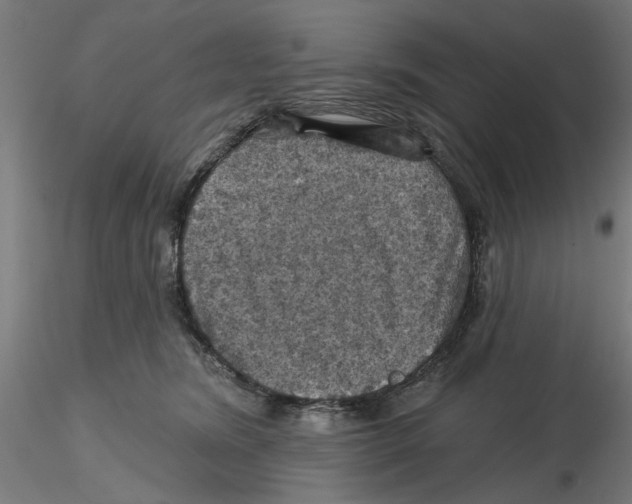 X0000116490420201001061145