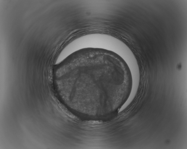 X0000116490421201001061145