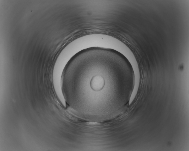 X0000116490425201001061145