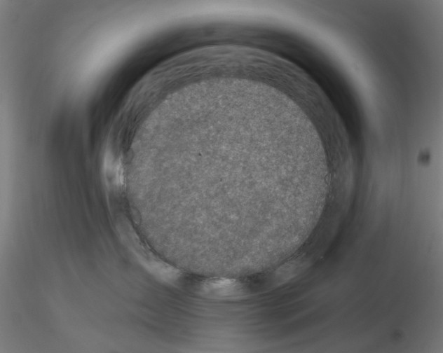 X0000116490431201001061145