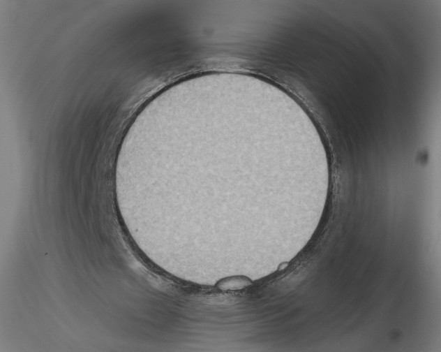 X0000116490433201001061144