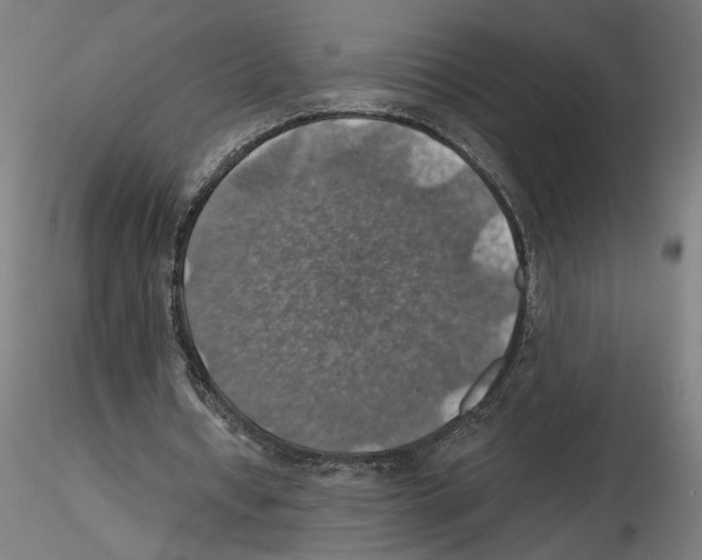 X0000116490434201001061144