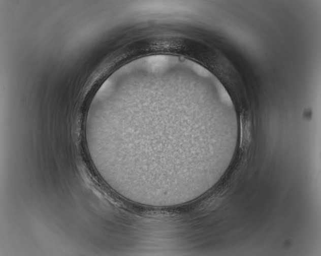 X0000116490435201001061144