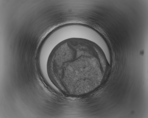 X0000116490436201001061144