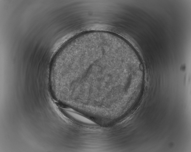 X0000116490437201001061144