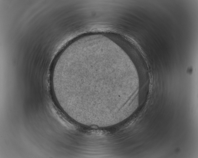 X0000116490439201001061144