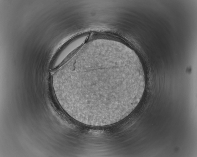 X0000116490440201001061144