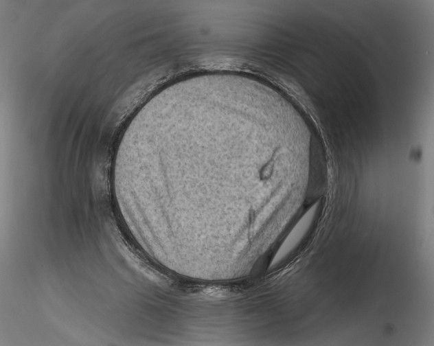 X0000116490441201001061144