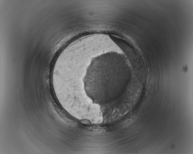 X0000116490443201001061144