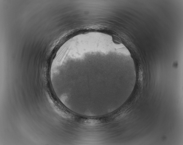 X0000116490444201001061144