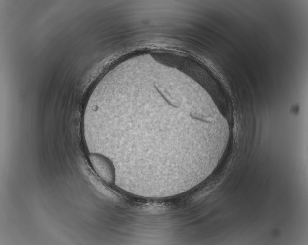 X0000116490445201001061144