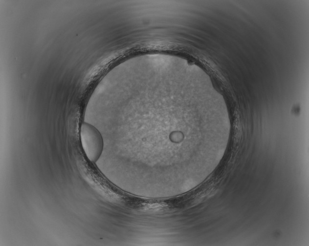 X0000116490446201001061144