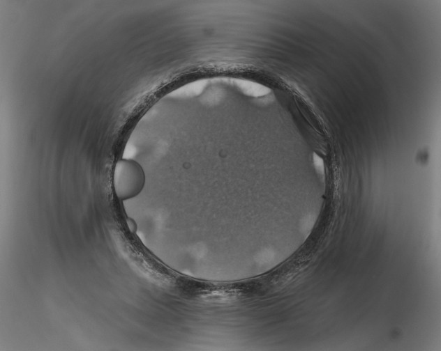 X0000116490447201001061144