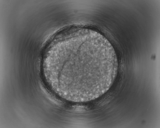 X0000116490448201001061144