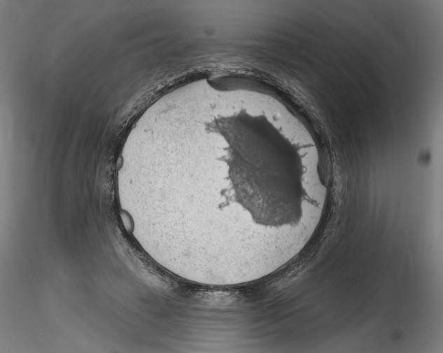 X0000116490449201001061144