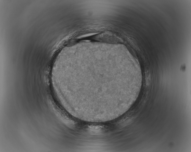 X0000116490450201001061144