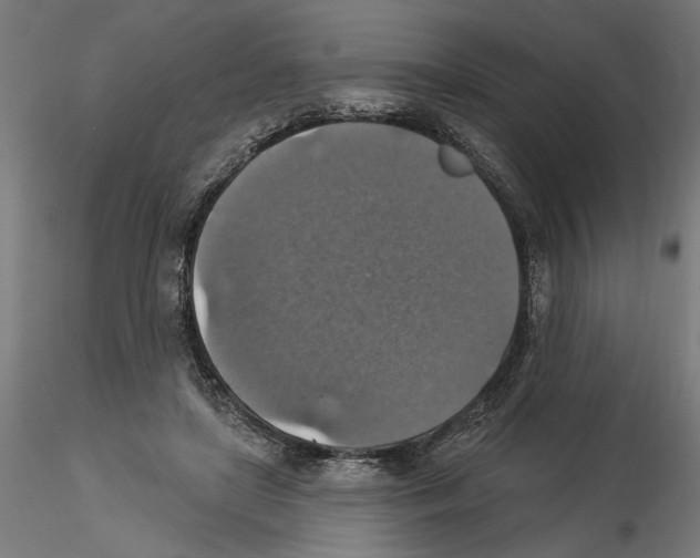 X0000116490451201001061144