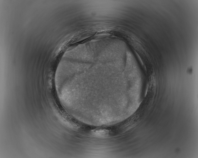 X0000116490452201001061145