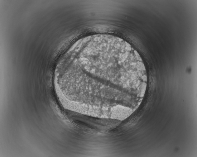 X0000116490453201001061145