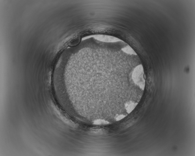 X0000116490454201001061145