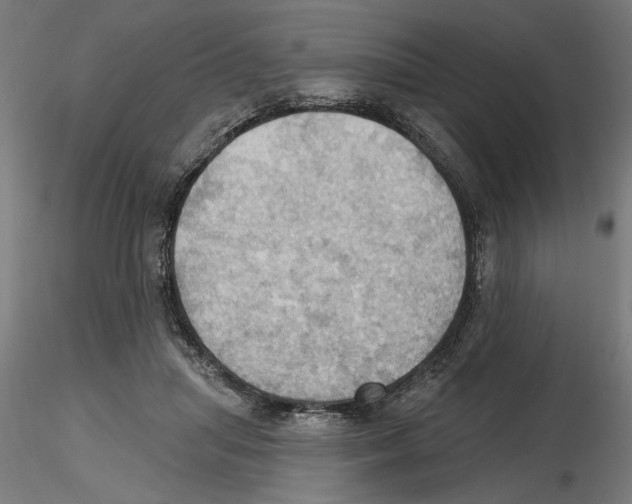 X0000116490455201001061145