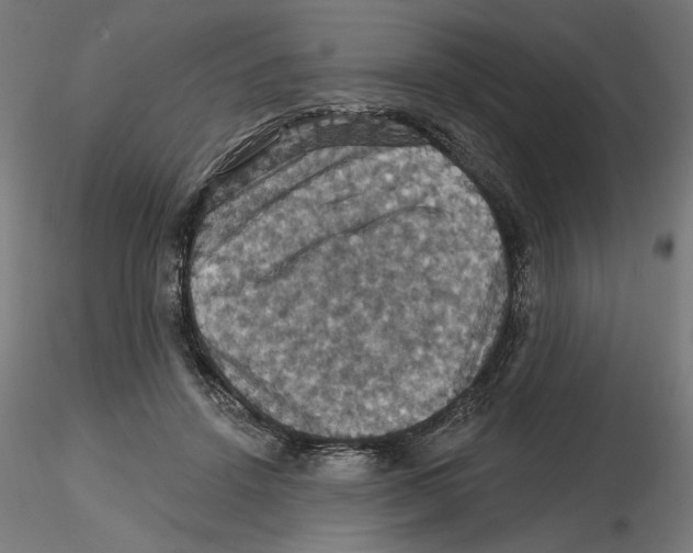 X0000116490456201001061145