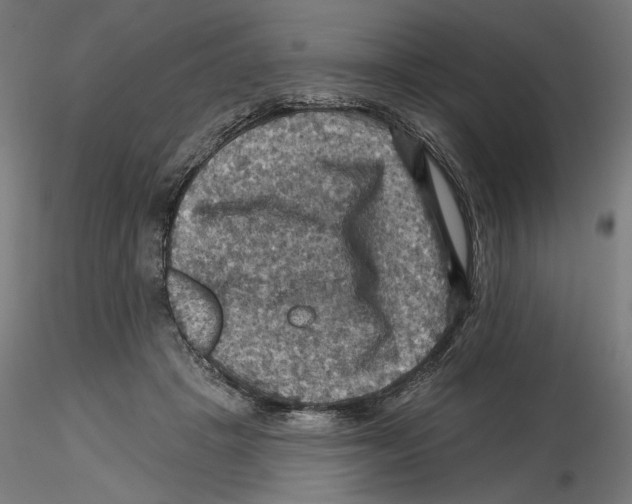 X0000116490457201001061145