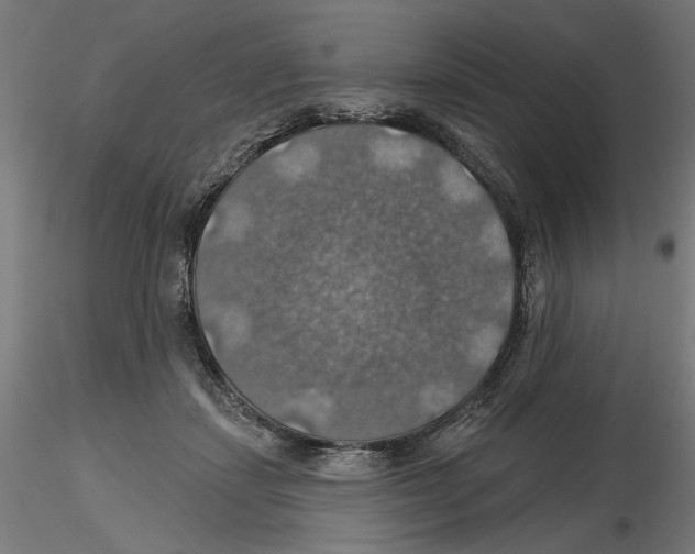 X0000116490459201001061145