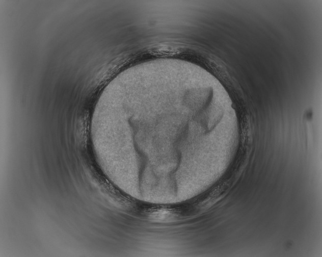 X0000116490460201001061145