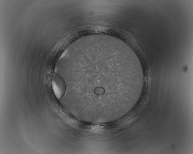 X0000116490462201001061145