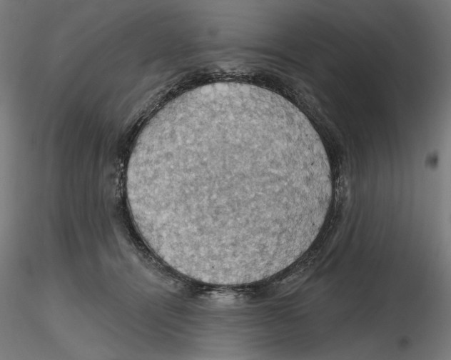 X0000116490464201001061145