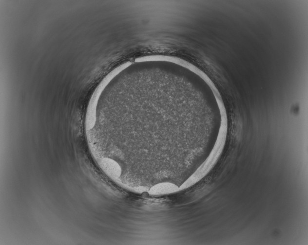 X0000116490465201001061145