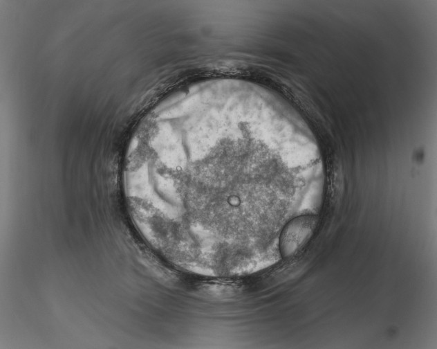 X0000116490466201001061145