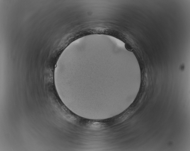 X0000116490467201001061145