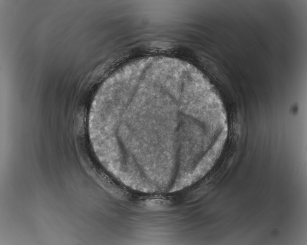 X0000116490468201001061145