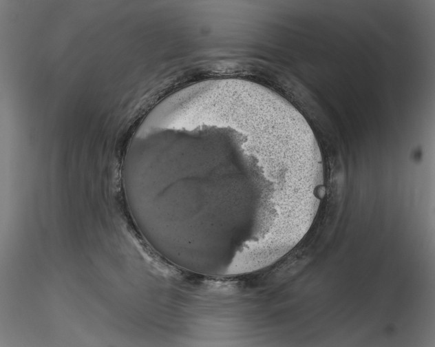 X0000116490469201001061145