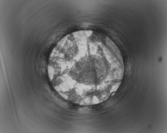 X0000116490470201001061145