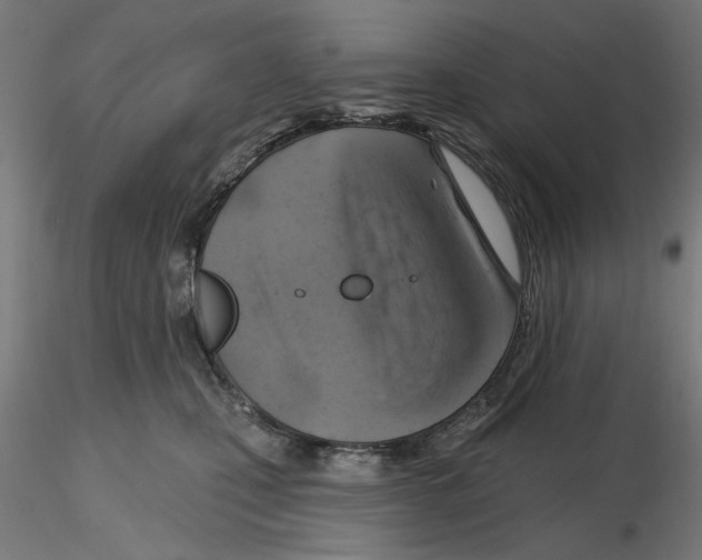 X0000116490471201001061145