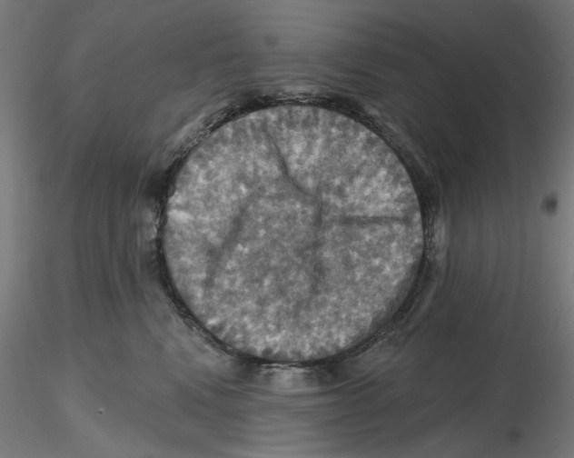 X0000116490472201001061145