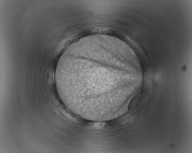 X0000116490474201001061145