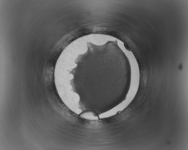 X0000116490475201001061145