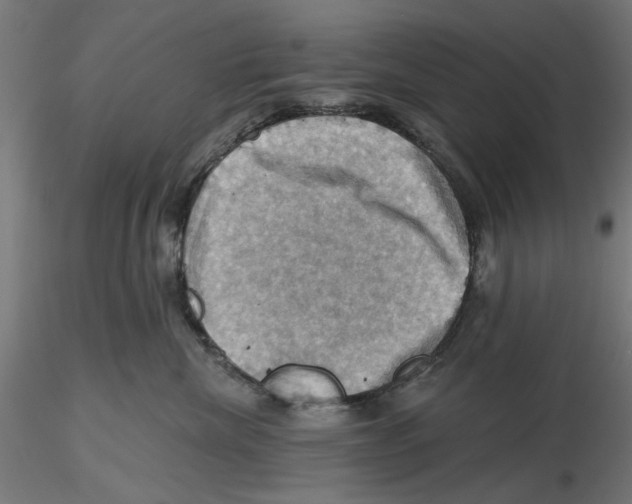 X0000116490476201001061145