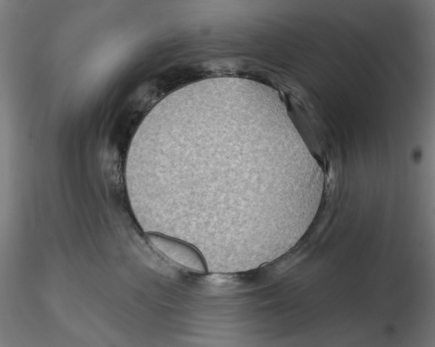 X0000116490477201001061145