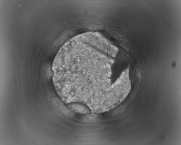 X0000116490479201001061145