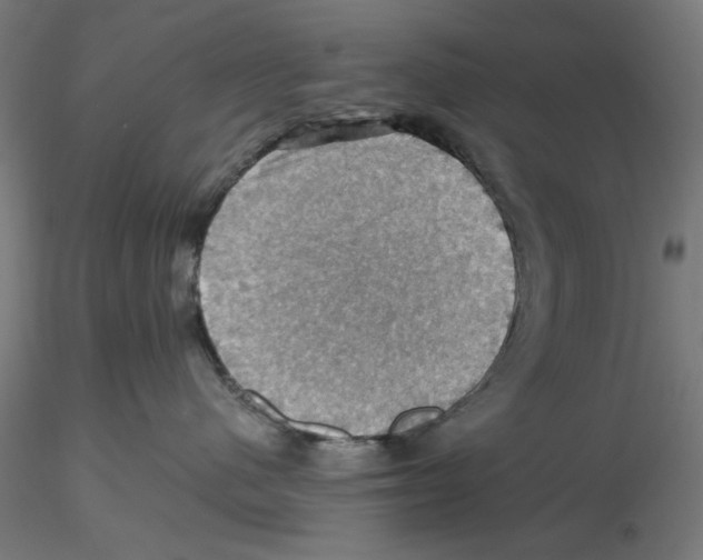 X0000116490480201001061145