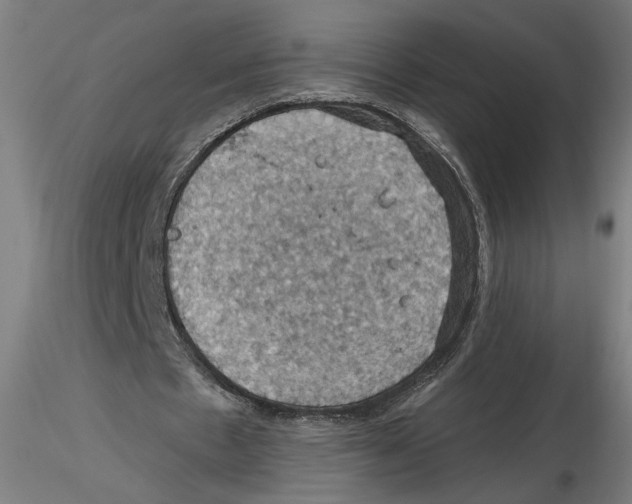 X0000116490481201001061144