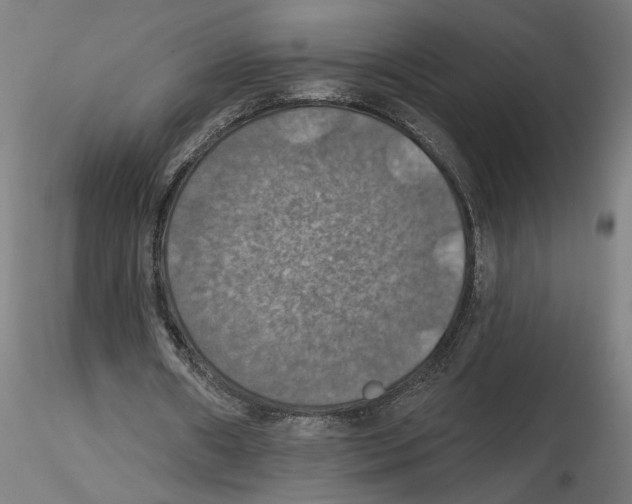 X0000116490482201001061144